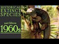 Historical Extinct Species #15 1960s