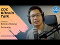 Bitcoin Mining Profits - YouTube