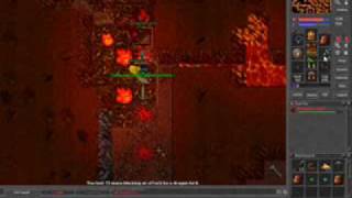 Tibia Silvera Mayhem Dragon Lord Giant Spider Grorlam