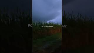 Rain 🌧️ Makes Corn 🌽 Corn Makes Whiskey 🥃 #calm #storm #rain  #peacefulrain