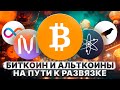 БИТКОИН И АЛЬТКОИНЫ. НА ПУТИ К РАЗВЯЗКЕ