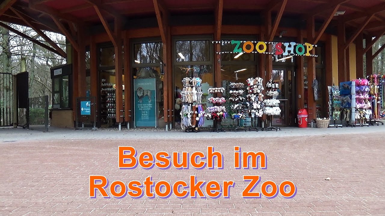 Besuch im Rostocker Zoo YouTube