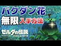 バクダン花をボコブリンから無限に入手(回収)する方法【ゼルダの伝説ティアーズオブザキングダム攻略】