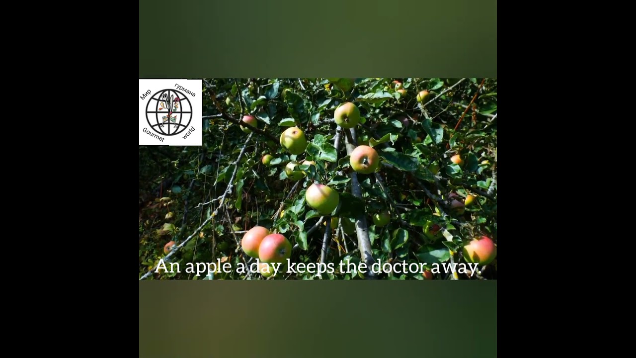 English proverbs.Русские пословицы.