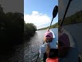 Kayaking St. Lucie Inlet Preserve State Park | Treasure Coast Florida #Shorts