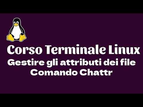 Corso Terminale Linux - #22.Gestire gli attributi dei file con comando CHATTR