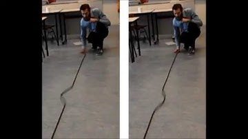Standing waves in long spring, closed end