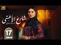 الحلقة 17 مسلسل شارع الأعشى 2 بطولة إلهام علي رمضان 2026