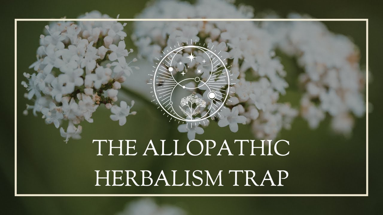 The Allopathic Herbalism Trap