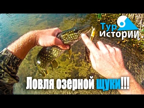 щука рыбалка озерная