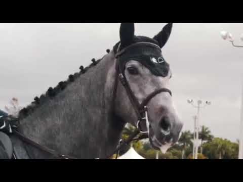 monster-|-horse-fails,-falls,-bloopers,-outtakes.-cool-equestrian-moments