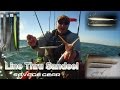 Savage Gear 3D Line Thru Sandeel video