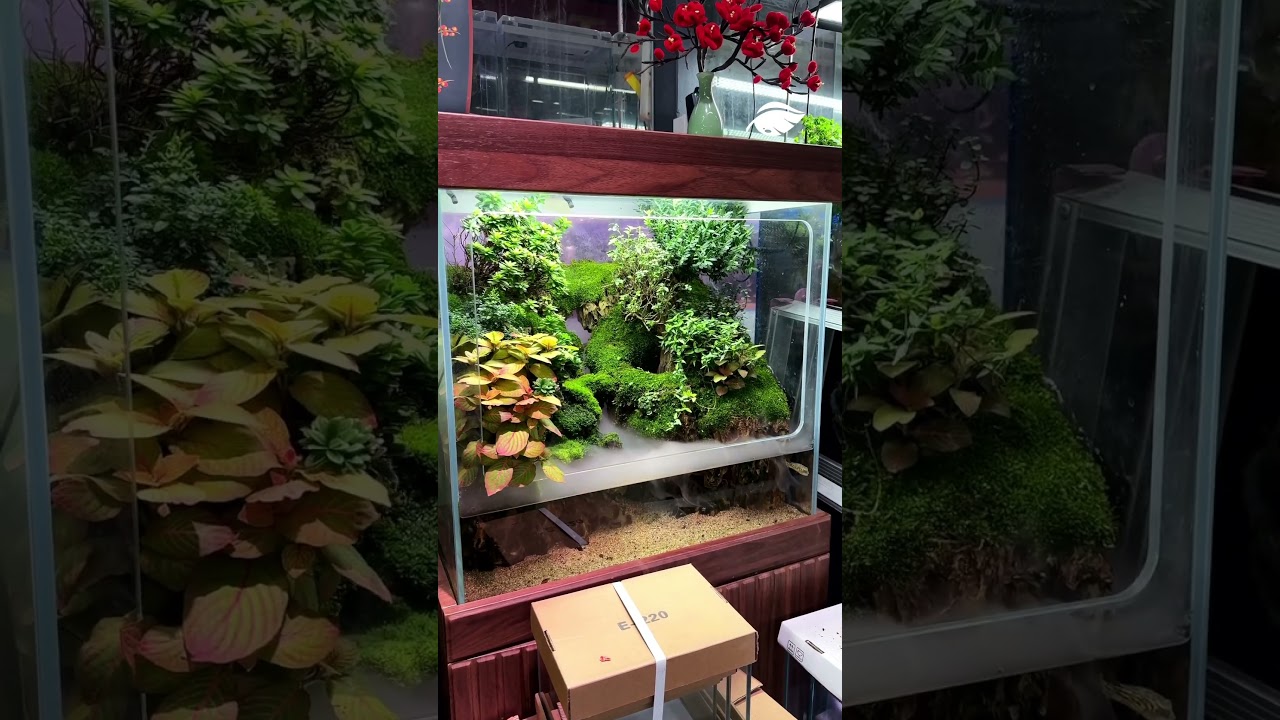 Nature's masterpiece, beautifully enclosed in glass 