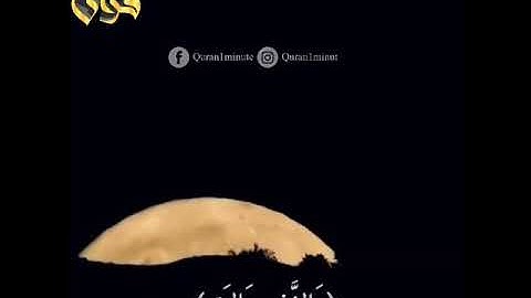 القارئ الشيخ فارس عباد / سوره الفجر / من أجمل التلاوات