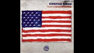 Cosmic Baby - Cosmic Greets Florida (Rabbit In The Moon Greets Berlin) [Logic Records]