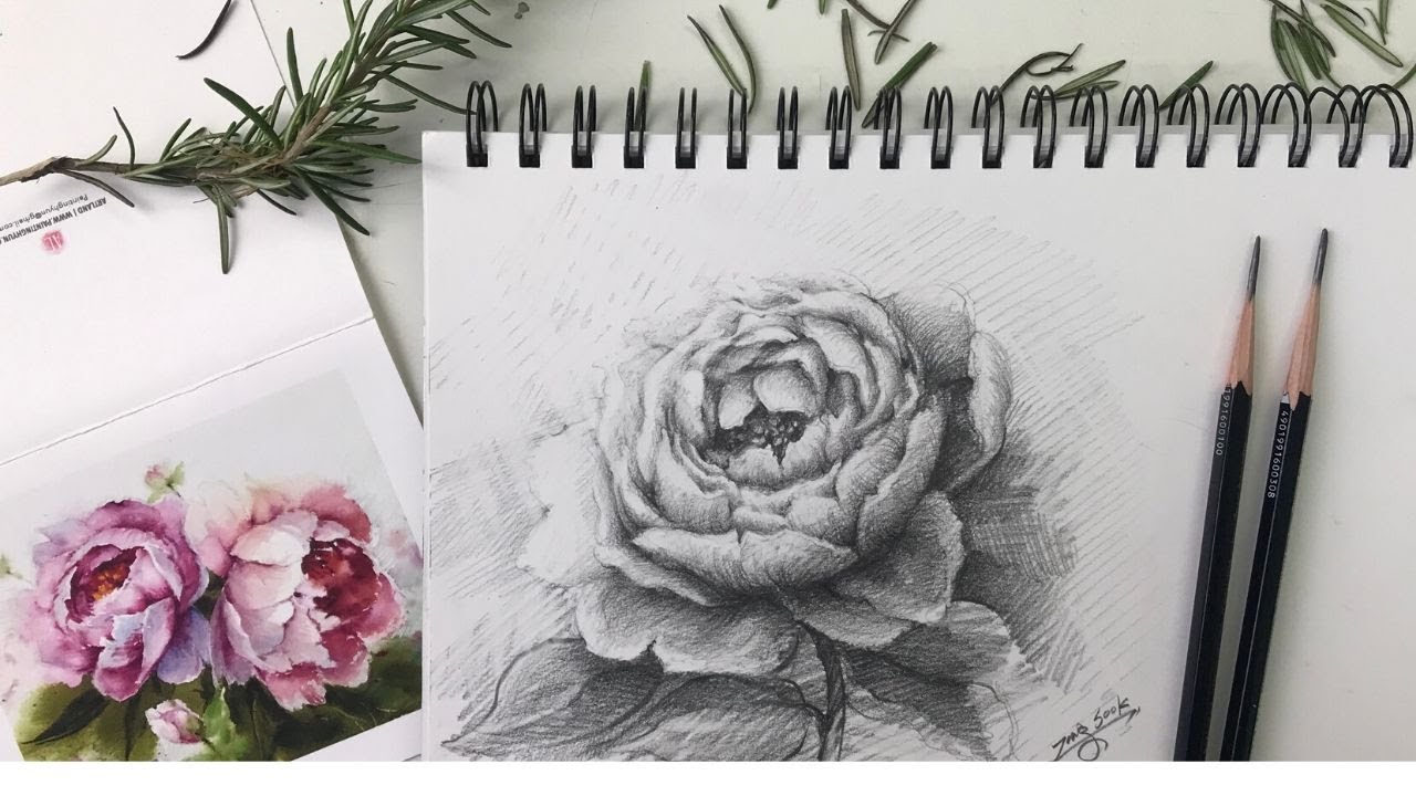 Tutorial: learn to draw a beautiful peony