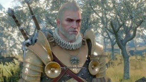 The Witcher 3: Wild Hunt – merchant disappear