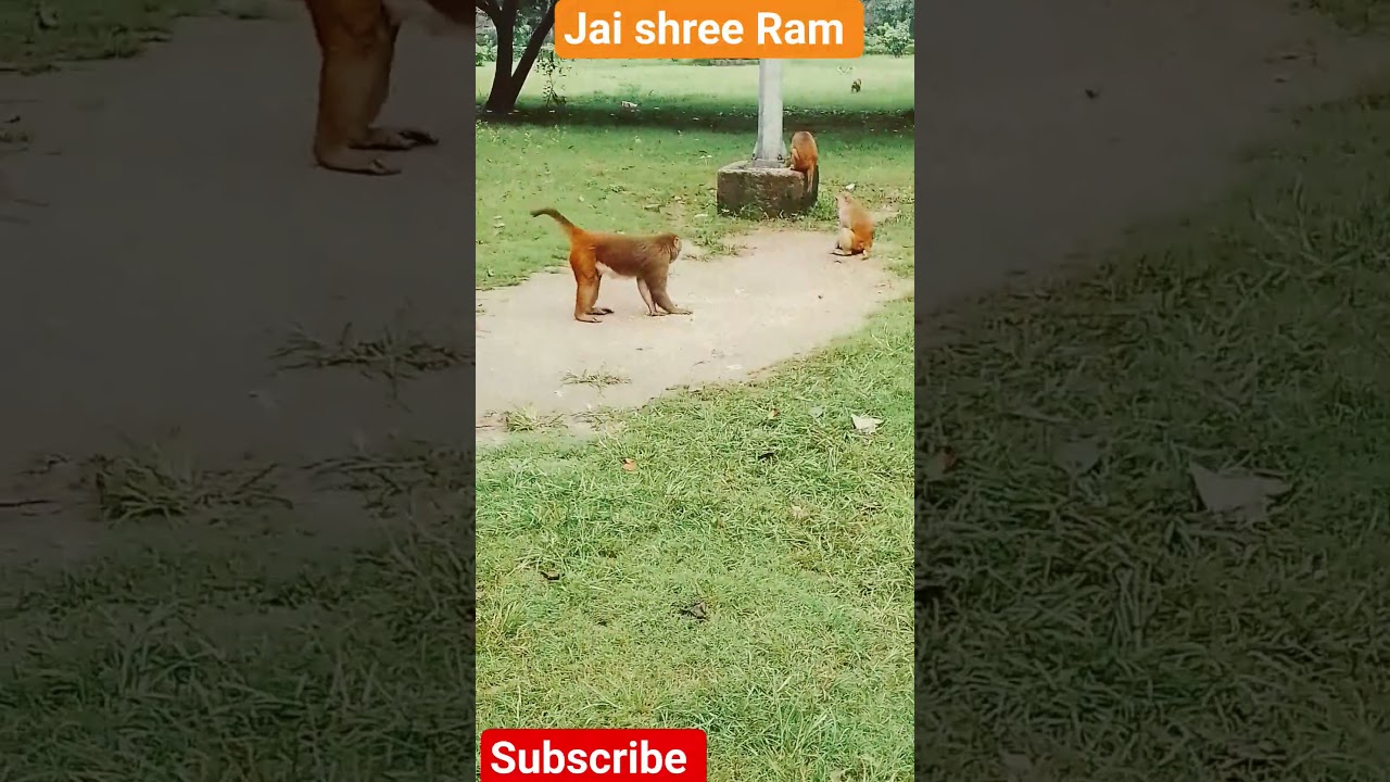 part 4 me kya ho gya ye