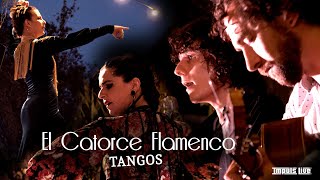 El Catorce Flamenco • "Tangos" [IMPULS' LIVE @ Guinguette de Tours]