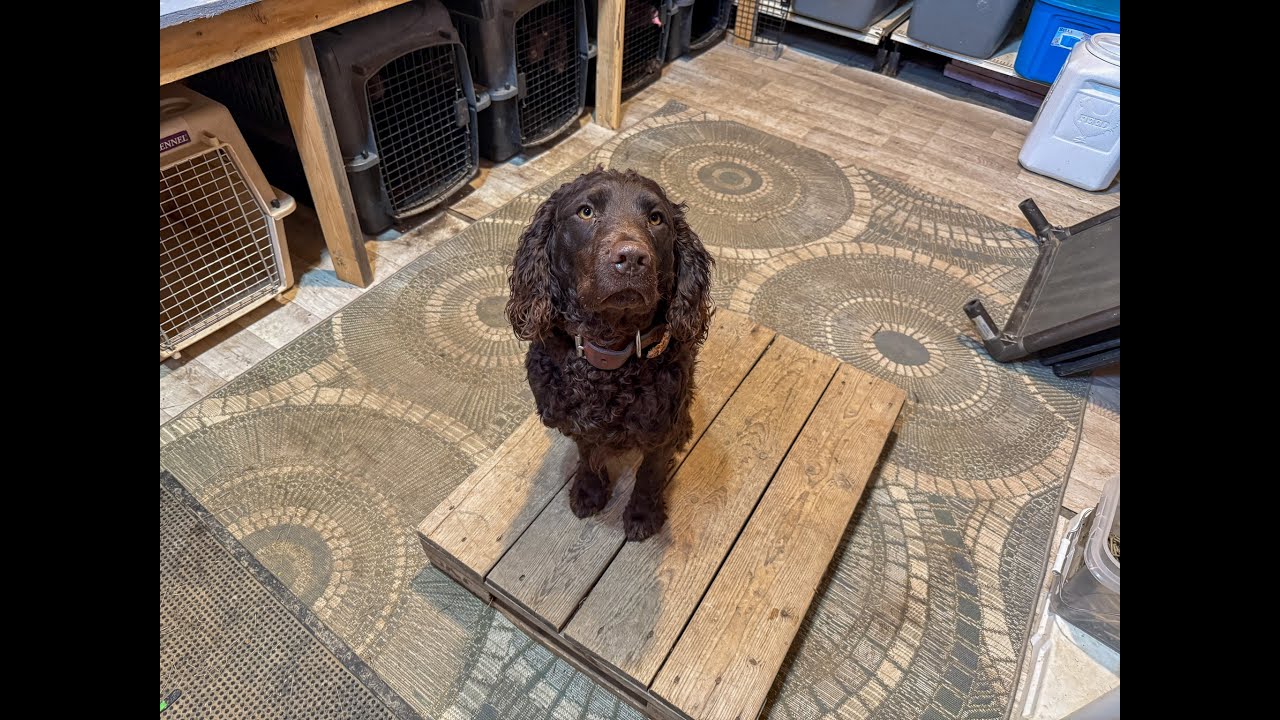 The Hazards of AWS - Resource Guarding (Bandit - Part 1)