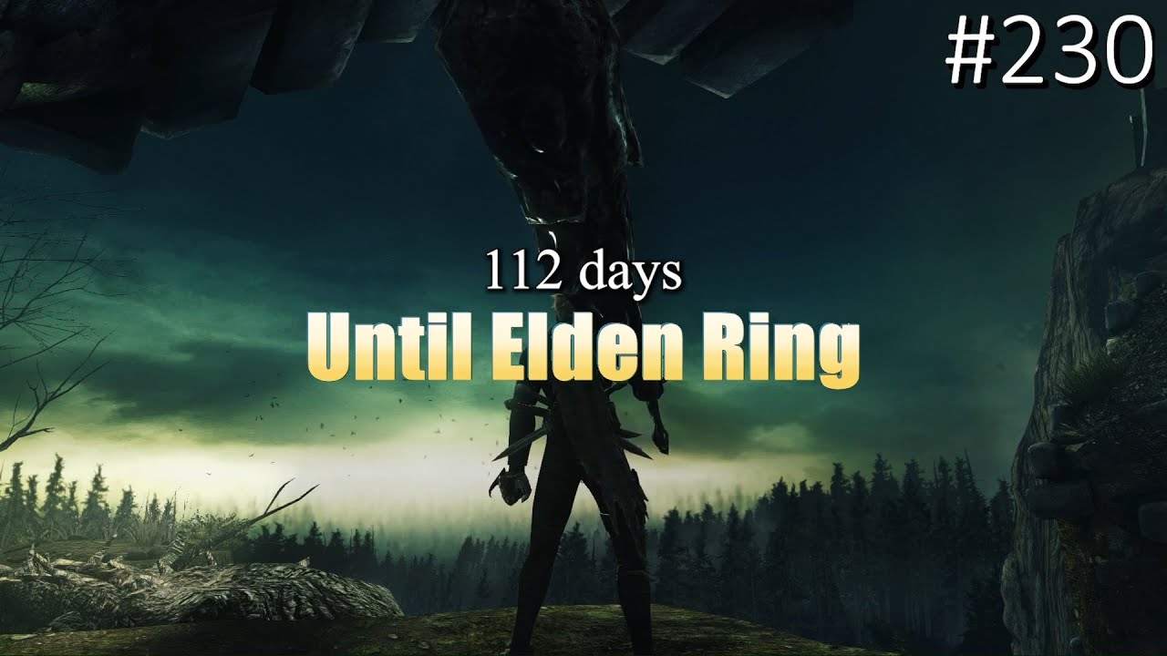 Invisible Turkey Leg Dark Souls 2 invasions #4 | 112 days Until Elden ...