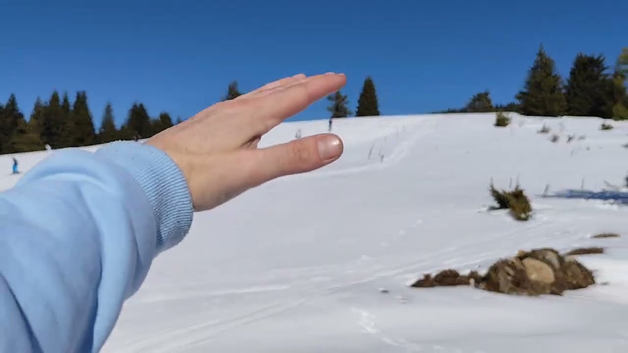 Bear Steps Spotted at Kartala ( Kartola ) mountain spot for ski and snowboard- Rhodope, Bulgaria 🇧🇬 