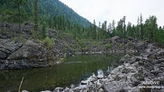 Каменный залив, озеро Телецкое