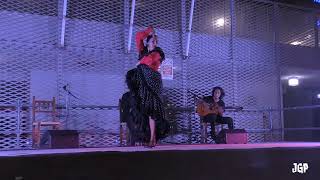 Groupe Flamenco d'Irene "La Serranilla" de Grenade HD