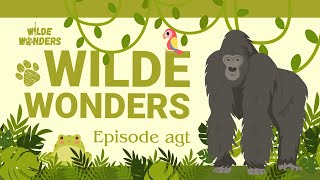 Wilde Wonders Episode Agt: Die Berg-gorilla