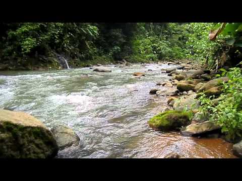 Costa Rica 2011 Portalon Creek 2