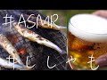 【ASMR】お庭でソロキャンプ飯　アラサーがししゃもを七輪で焼いて食べる。
