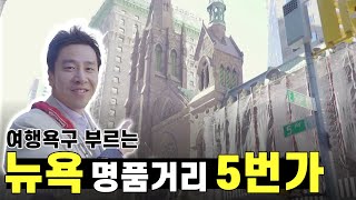 명품거리 5번가에서 뉴요커 기분 만끽, 그리고 드는 생각