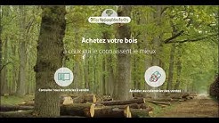 Comment participer à une vente de bois de l’ONF en ligne sans se rendre physiquement sur place ?