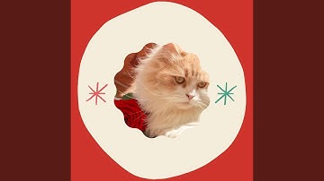 Pulsating Moods for Louning Cats