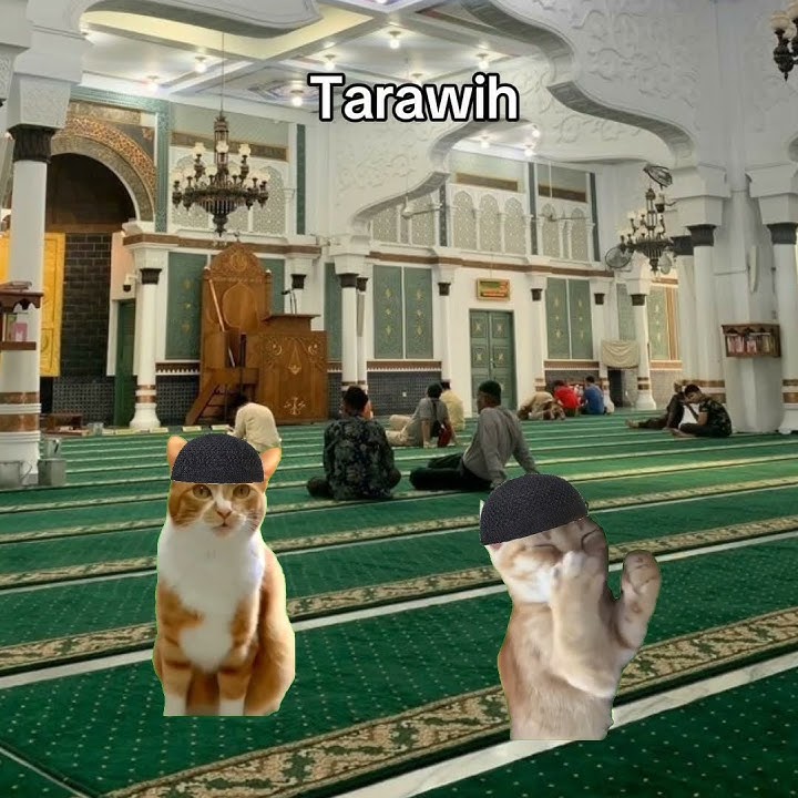 Selamat menunggu bulan puasa 2025 😍🙏🏻✨#fypシ゚ #meme #kucing #puasa #lewatberanda