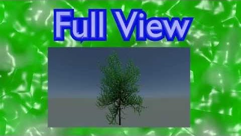 Realistic animated trees - American Elm