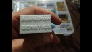 HANGING WITH SCAREGROW