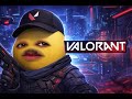Valorant (ALSO Live ON Twitch)