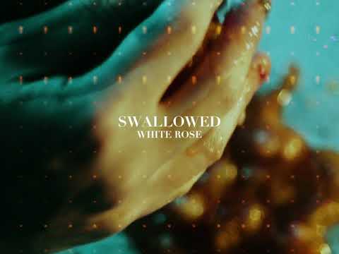 Punk music video thumbnail preview for White Rose - Swallow