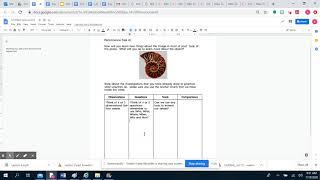 Celebrity Lesson 6- 2nd grade Performance Task Net Worth
