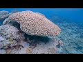 National Marine Sanctuary of American Samoa: Fagatele Bay