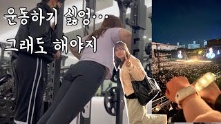 화장품 회사 12년차 마케터 일상 VLOG (운동, 직장인 점심시간, 콜드플레이 콘서트 직관, 일보다 운동을 사랑하는, 놀이터, 다이어트, 친목, 뷰티마케터)