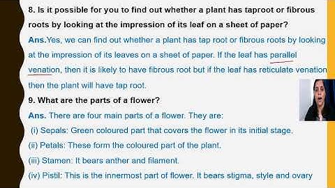 GEETA JAIN/FORM 6/SCIENCE /CHAPTER 7/GETTING TO KNOW PLANTS/PART 8