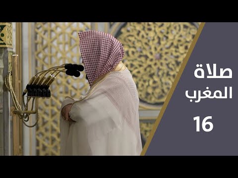 صلاة المغرب 16 شوال الشيخ حسين آل الشيخ