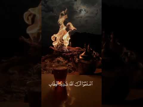 القران الكريم واعلموا ان الله شديد العقاب وان الله غفور رحيم سورة المائدة