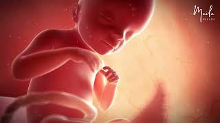 21 Weeks of Pregnancy | Second Trimester | Fetal Stage