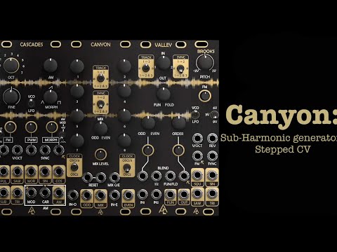 COCO System Part One: CANYON