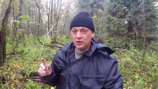 Коп по войне ☆4☆ Поиск позиций ВЕРМАХТА. Коп по войне ☆4☆ Поиск позиций ВЕРМАХТА.