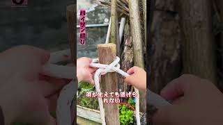 【パイソン結び!】悪魔の神器と呼ばれ、一結びで固定、引くほど締まる!#ロープ結び神器 #結束テクニック #生活の知恵