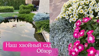 Обзор хвойного сада | озеро своими руками, ели, можжевельники 1 часть